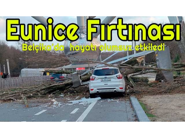 Eunice Fırtınası, Belçika'da hayatı olumsuz etkiledi