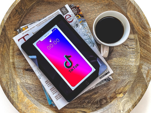 AB veri kurumundan TikTok'a 530 milyon avro ceza