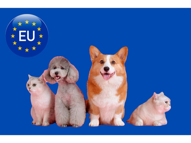 AB kedi ve köpeklerin refahına ilişkin ortak kurallar getiriyor