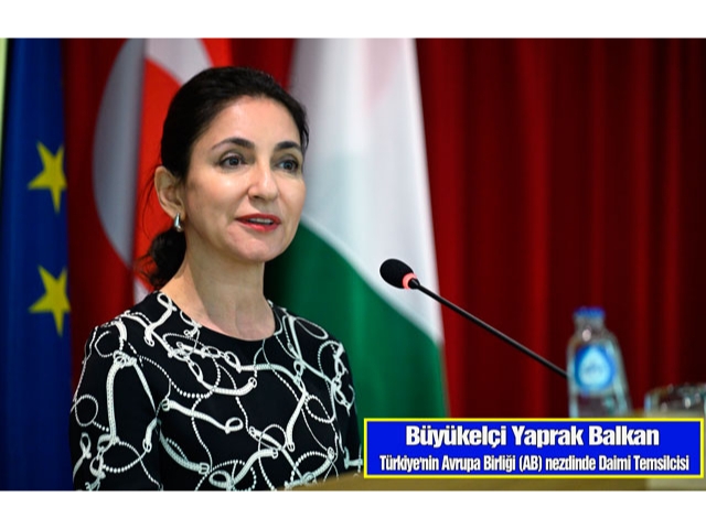 Türkiye, Avrupa rekabet stratejisinin parçası olarak görülmeli