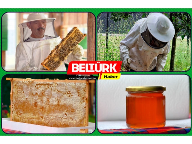 Belçika’da Türk Girişimciden Doğal Bal Üretimi