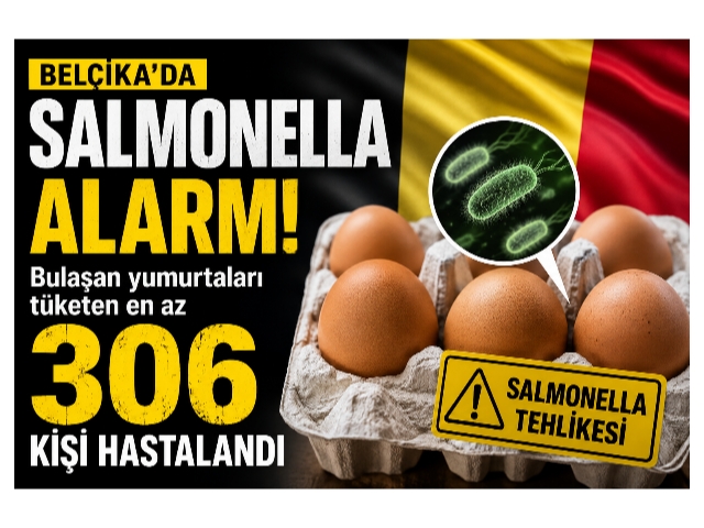 Belçika'da Salmonella alarmı: 306 kişi hastanelik oldu
