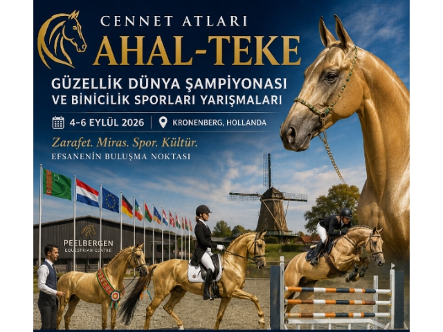 Hollanda, Ahal-Teke Atları Dünya Şampiyonası'na ev sahipliği yapacak