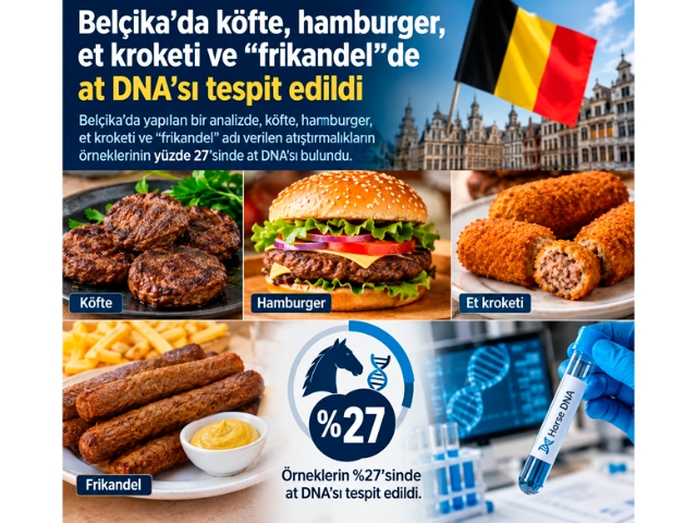 Belçika'da At eti Sakandalı