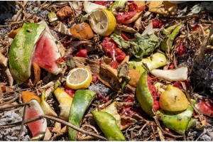 Avrupa'da kişi başına 131 kilo gıda israf edildi