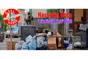 Nasrettin Hoca, “Brüksel’in Çöp Bekçisi” Değildir
