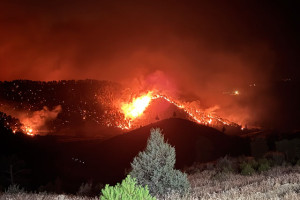 Bursa, Uşak, Mersin ve Kahramanmaraş'taki orman yangınlarına müdahale sürüyor