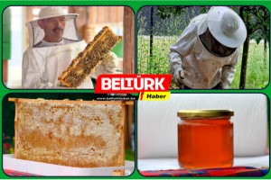 Belçika’da Türk Girişimciden Doğal Bal Üretimi