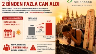 Belçika'da "sıcak hava dalgası nedeniyle yüzyılın en ölümcül 2. günü" yaşandı