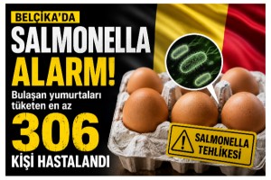 Belçika'da Salmonella alarmı: 306 kişi hastanelik oldu