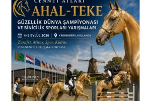Hollanda, Ahal-Teke Atları Dünya Şampiyonası'na ev sahipliği yapacak
